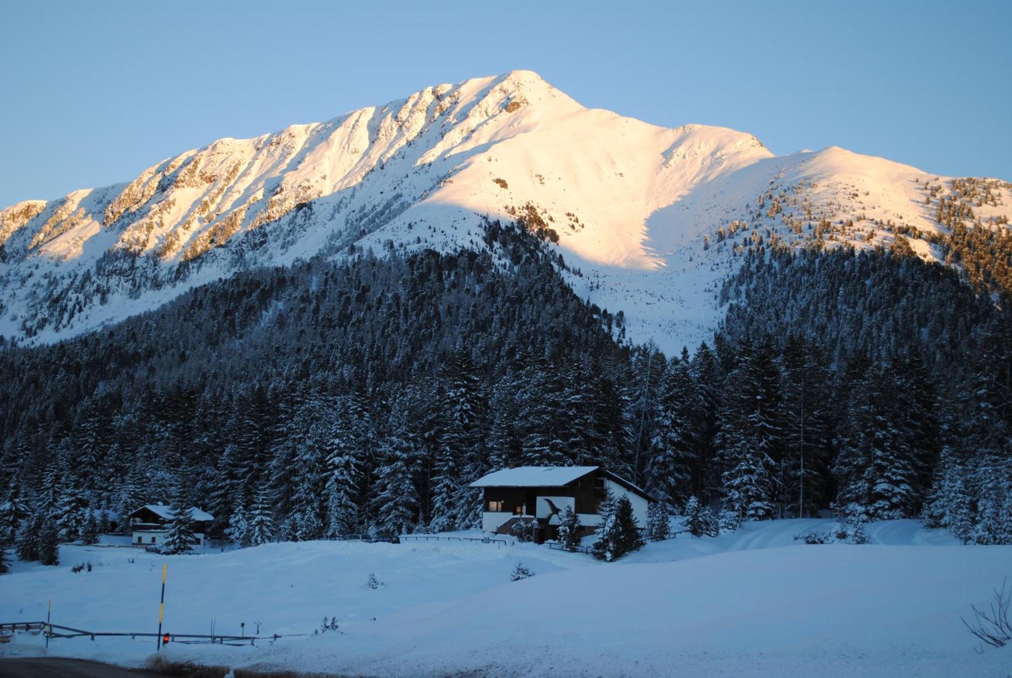 Aparthotel Wellness Villa Di Bosco Tesero Exterior foto